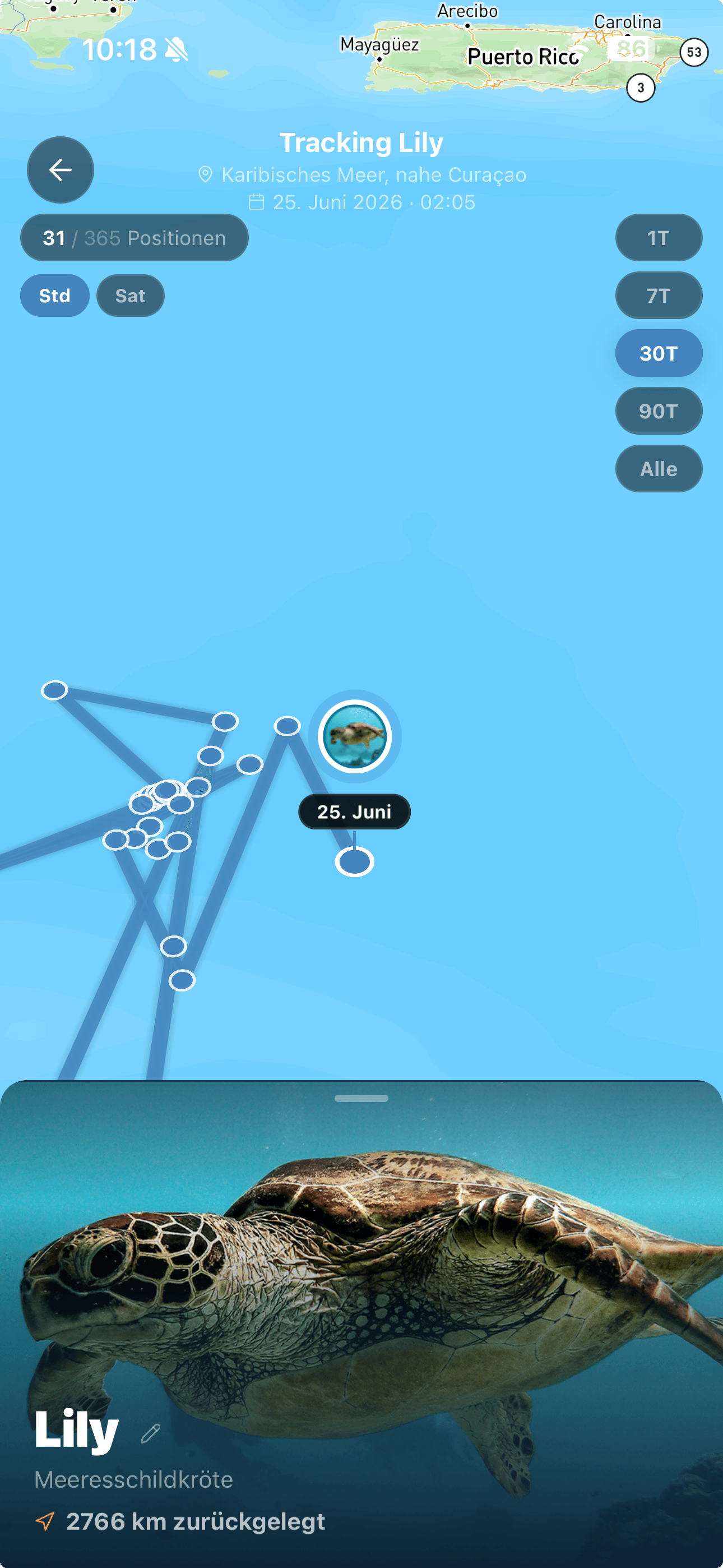 Tracking-Ansicht in der aninu App: Lilys GPS-Route im Karibischen Meer, 31 von 365 Positionen, 2.766 km zurückgelegt