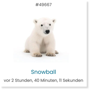 Patrocinio de osos polares – aninu - Main Image