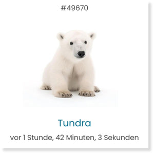 Patrocinio de osos polares – aninu