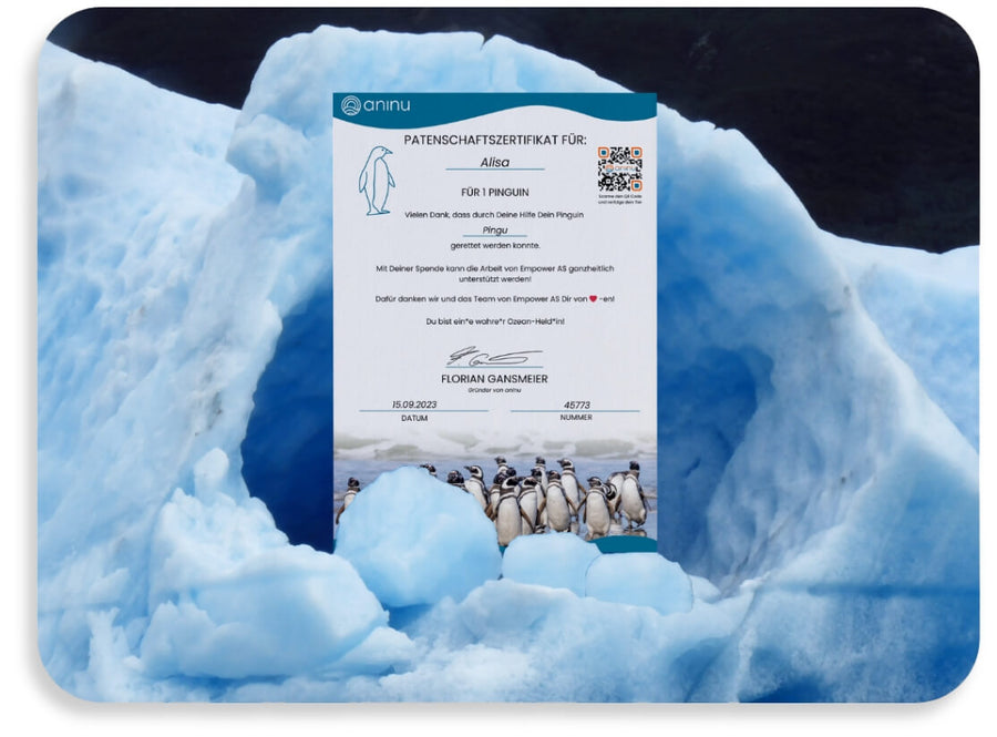 Penguin sponsorship from aninu